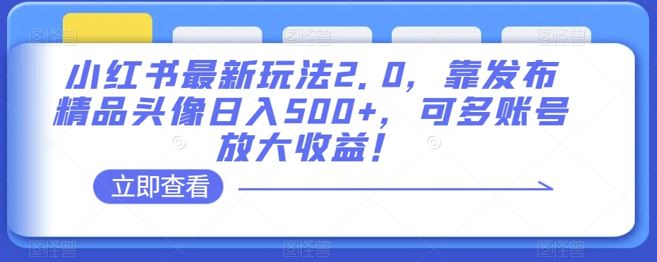 小红书最新玩法2.0，靠发布精品头像日入500+，可多账号放大收益！【揭秘】-第一资源网