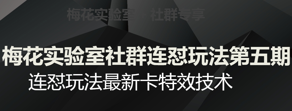 梅花实验室社群连怼玩法第五期，视频号连怼玩法最新卡特效技术-第一资源网