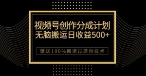 最新视频号创作分成计划,无脑搬运一天收益500+,100%搬运过原创技巧【揭秘】-第一资源网