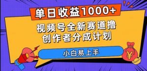单日收益1000+，视频号全新赛道撸创作者分成计划，小白易上手【揭秘】-第一资源网