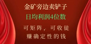 金矿旁边卖铲子，赚确定性的钱，可矩阵，可收徒，日均利润4位数【揭秘】-第一资源网