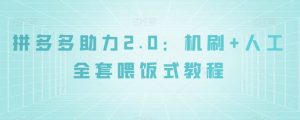 拼多多助力2.0：机刷+人工全套喂饭式教程【揭秘】-第一资源网