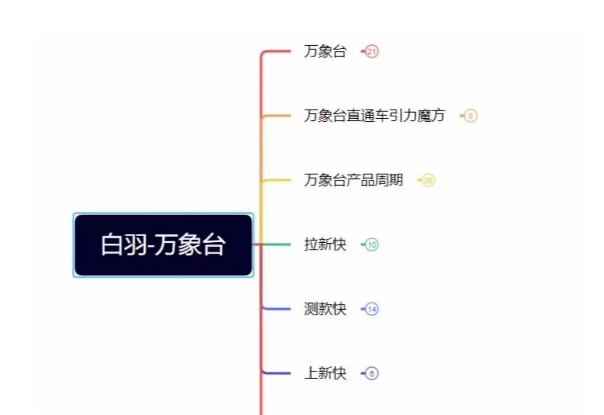 白羽·直引万搜索全篇，从0-1，多个类目实操经验总结付费-第一资源网