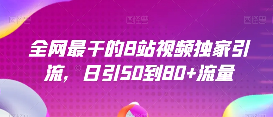 全网最干的B站视频独家引流，日引50到80+流量【揭秘】-第一资源网