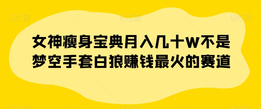 女神瘦身宝典月入几十W不是梦空手套白狼赚钱最火的赛道【揭秘】-第一资源网