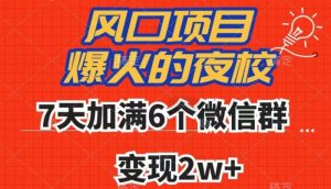全网首发，爆火的夜校，7天加满6个微信群，变现2w+【揭秘】-第一资源网