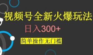 视频号最新爆火玩法，日入300+，简单操作无门槛【揭秘】-第一资源网