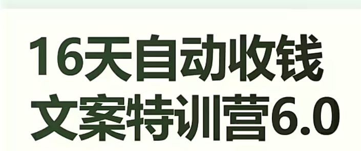 16天自动收钱文案特训营6.0，学会儿每天自动咔咔收钱-第一资源网