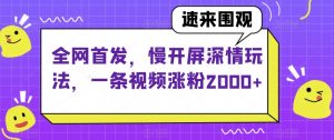 全网首发，慢开屏深情玩法，一条视频涨粉2000+【揭秘】-第一资源网