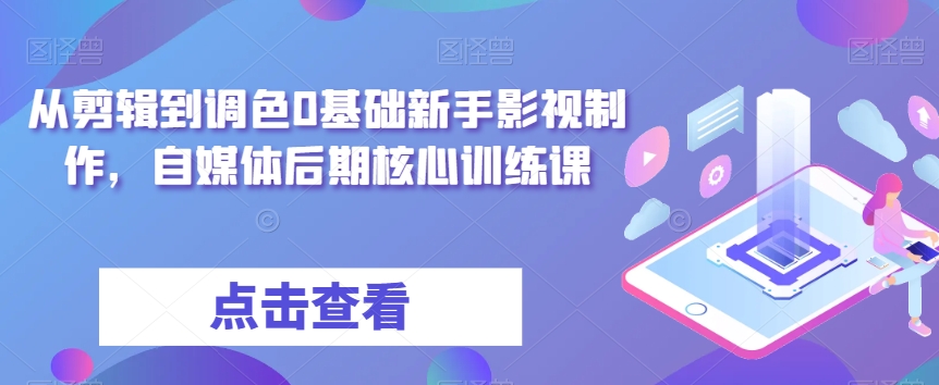 从剪辑到调色0基础新手影视制作，自媒体后期核心训练课-第一资源网