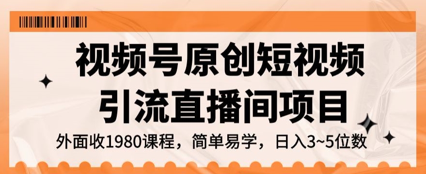 视频号原创短视频引流直播间项目，日入3~5五位数【揭秘】-第一资源网