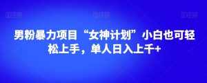男粉暴力项目“女神计划”小白也可轻松上手,单人日入上千+【揭秘】-第一资源网