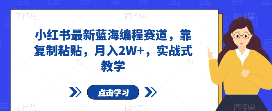 小红书最新蓝海编程赛道，靠复制粘贴，月入2W+，实战式教学【揭秘】-第一资源网