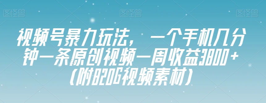 视频号暴力玩法，一个手机几分钟一条原创视频一周收益3800+（附820G视频素材）-第一资源网