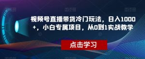 视频号直播带货冷门玩法,日入1000+,小白专属项目,从0到1实战教学【揭秘】-第一资源网