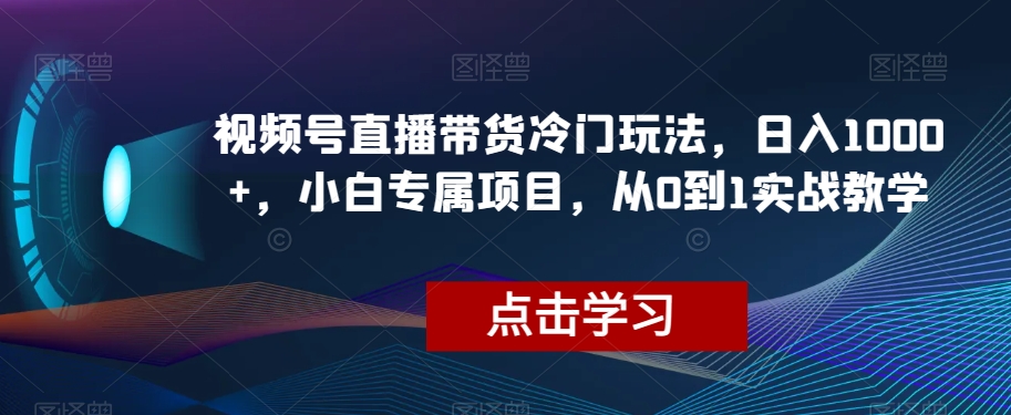 视频号直播带货冷门玩法，日入1000+，小白专属项目，从0到1实战教学【揭秘】-第一资源网