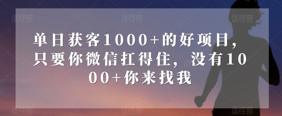 单日获客1000+的好项目，只要你微信扛得住，没有1000+你来找我【揭秘】-第一资源网