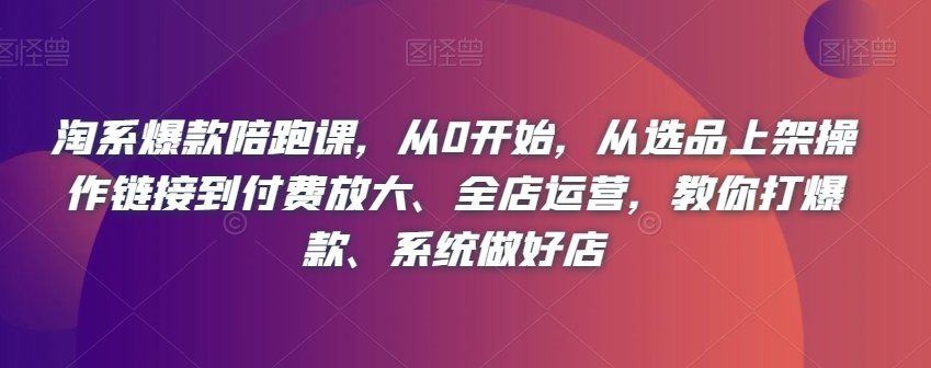 淘系爆款陪跑课，从0开始，从选品上架操作链接到付费放大、全店运营，教你打爆款、系统做好店-第一资源网