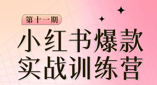 小红书博主爆款训练营第11期，手把手教你从0-1做小红书，从定位到起号到变现-第一资源网
