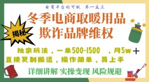 利用电商平台冬季销售取暖用品欺诈行为合理制裁店铺,单日入900+【仅揭秘】-第一资源网