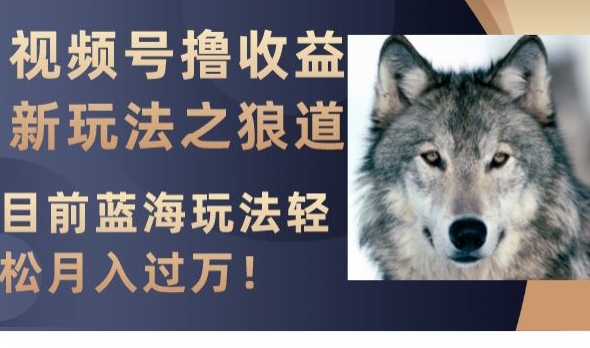 视频号撸收益新玩法之狼道，目前蓝海玩法，轻松月入过万【揭秘】-第一资源网