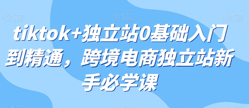 tiktok+独立站0基础入门到精通，跨境电商独立站新手必学课-第一资源网