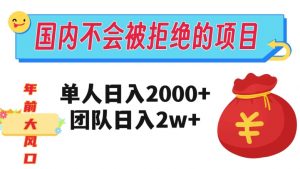 在国内不怕被拒绝的项目，单人日入2000，团队日入20000+【揭秘】-第一资源网