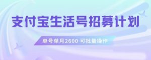 支付宝生活号作者招募计划,单号单月2600,可批量去做,工作室一人一个月轻松1w+【揭秘】-第一资源网