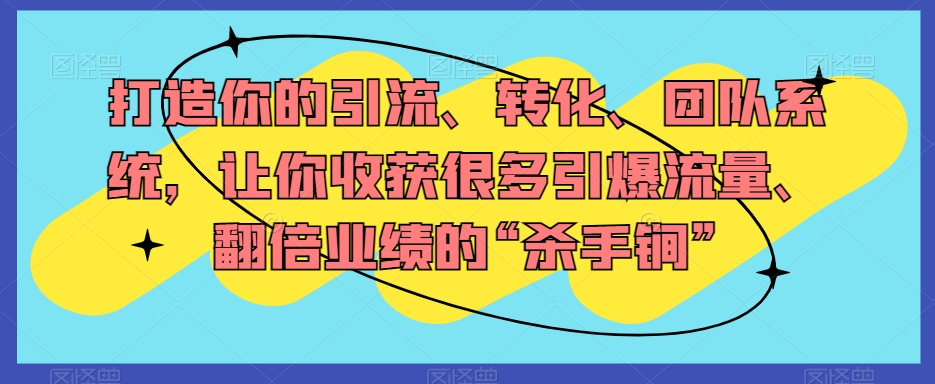 打造你的引流、转化、团队系统，让你收获很多引爆流量、翻倍业绩的“杀手锏”-第一资源网