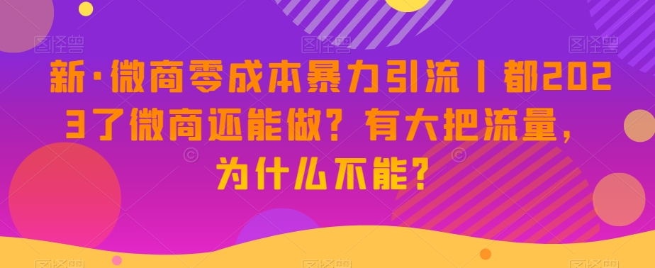 新·微商零成本暴力引流丨都2023了微商还能做？有大把流量，为什么不能？-第一资源网