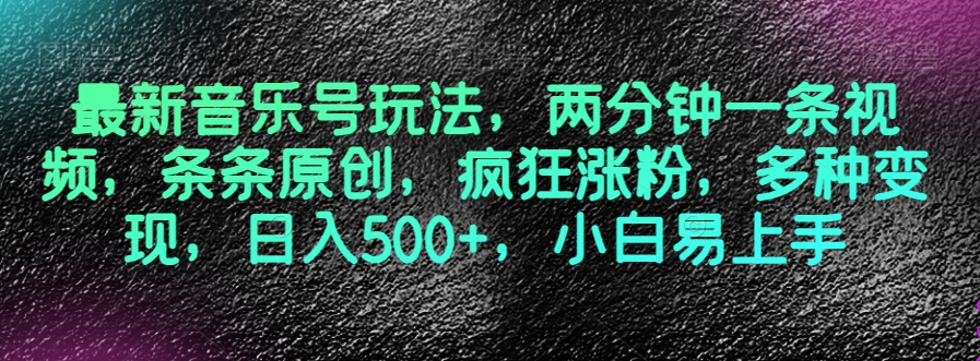 最新音乐号玩法，两分钟一条视频，条条原创，疯狂涨粉，多种变现，日入500+，小白易上手【揭秘】-第一资源网
