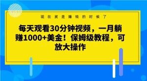 每天观看30分钟视频，一月躺赚1000+美金！保姆级教程，可放大操作【揭秘】-第一资源网