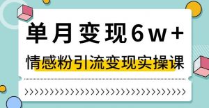 单月变现6W+，抖音情感粉引流变现实操课，小白可做，轻松上手，独家赛道【揭秘】-第一资源网