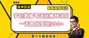 数据号回归玩法游戏试玩搬砖项目再创日入500+【揭秘】-第一资源网