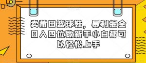 卖莆田篮球鞋，暴利掘金日入四位数新手小白都可以轻松上手【揭秘】-第一资源网