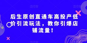后生原创直通车高投产低价引流玩法,教你引爆店铺流量!-第一资源网