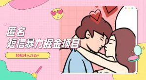 全网首发，揭秘超冷门匿名短信项目，通过信息差日入几百+【揭秘】-第一资源网