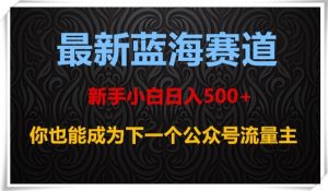 最新蓝海赛道,新手小白日入500+,你也能成为下一个公众号流量主【揭秘】-第一资源网