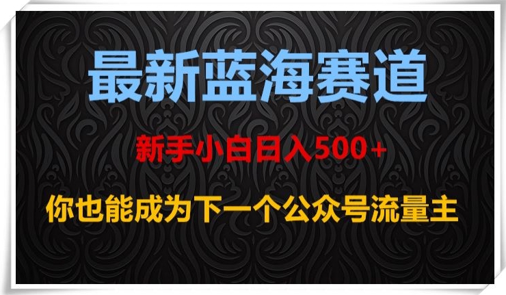 最新蓝海赛道，新手小白日入500+，你也能成为下一个公众号流量主【揭秘】-第一资源网