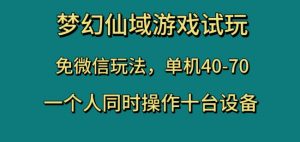 梦幻仙域游戏试玩,免微信玩法,单机40-70,一个人同时操作十台设备【揭秘】-第一资源网