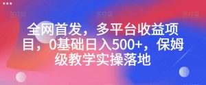 全网首发，多平台收益项目，0基础日入500+，保姆级教学实操落地【揭秘】-第一资源网