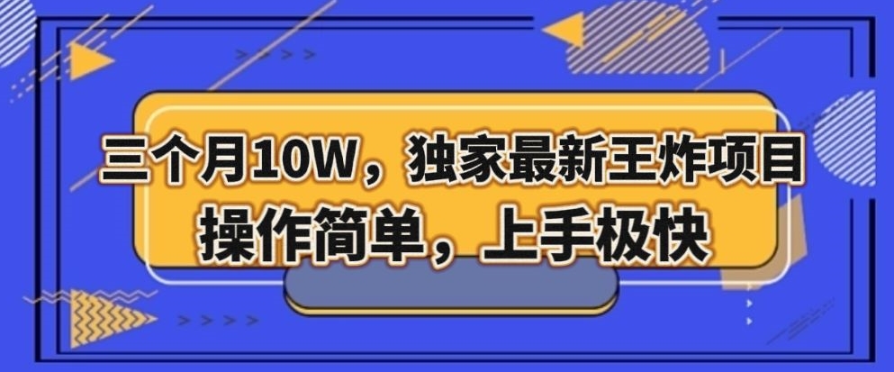 三个月10W，独家最新王炸项目！操作简单，上手极快【揭秘】-第一资源网