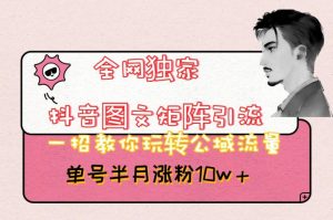 全网独家抖音图文矩阵引流，一招教你玩转公域流量，单号半月涨粉10w+【揭秘】-第一资源网