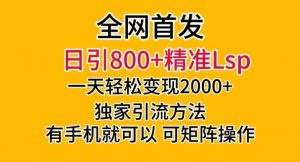 全网首发！日引800+精准老色批，一天变现2000+，独家引流方法，可矩阵操作【揭秘】-第一资源网