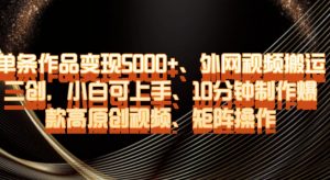 单条作品变现5000+、外网视频搬运二创,小白可上手,10分钟制作爆款高原创视频,矩阵操作【揭秘】-第一资源网