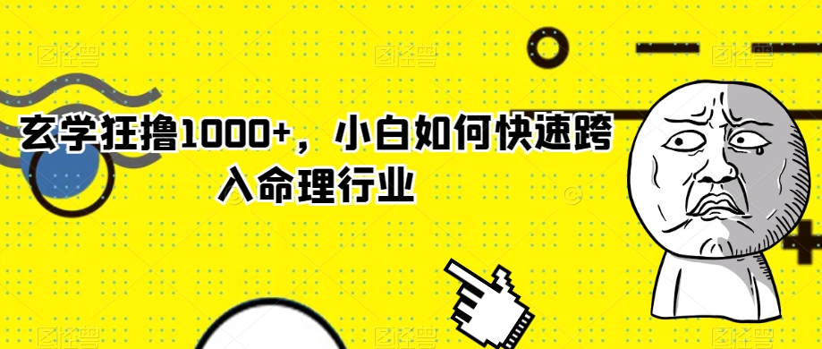 玄学狂撸1000+，小白如何快速跨入命理行业【揭秘】-第一资源网