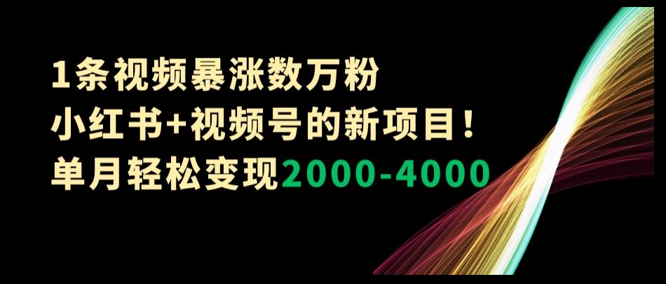 1条视频暴涨数万粉–小红书+视频号的新项目！单月轻松变现2000-4000【揭秘】-第一资源网