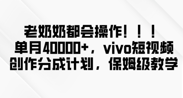 老奶奶都会操作，新平台无脑操作，单月40000+，vivo短视频创作分成计划【揭秘】-第一资源网