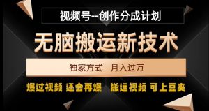视频号无脑搬运新技术,破原创壕流量,独家方式,爆过视频,还会再爆【揭秘】-第一资源网