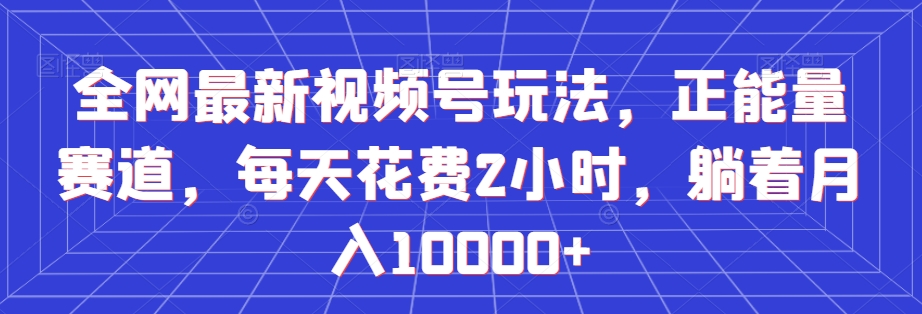 全网最新视频号玩法，正能量赛道，每天花费2小时，躺着月入10000+【揭秘】-第一资源网